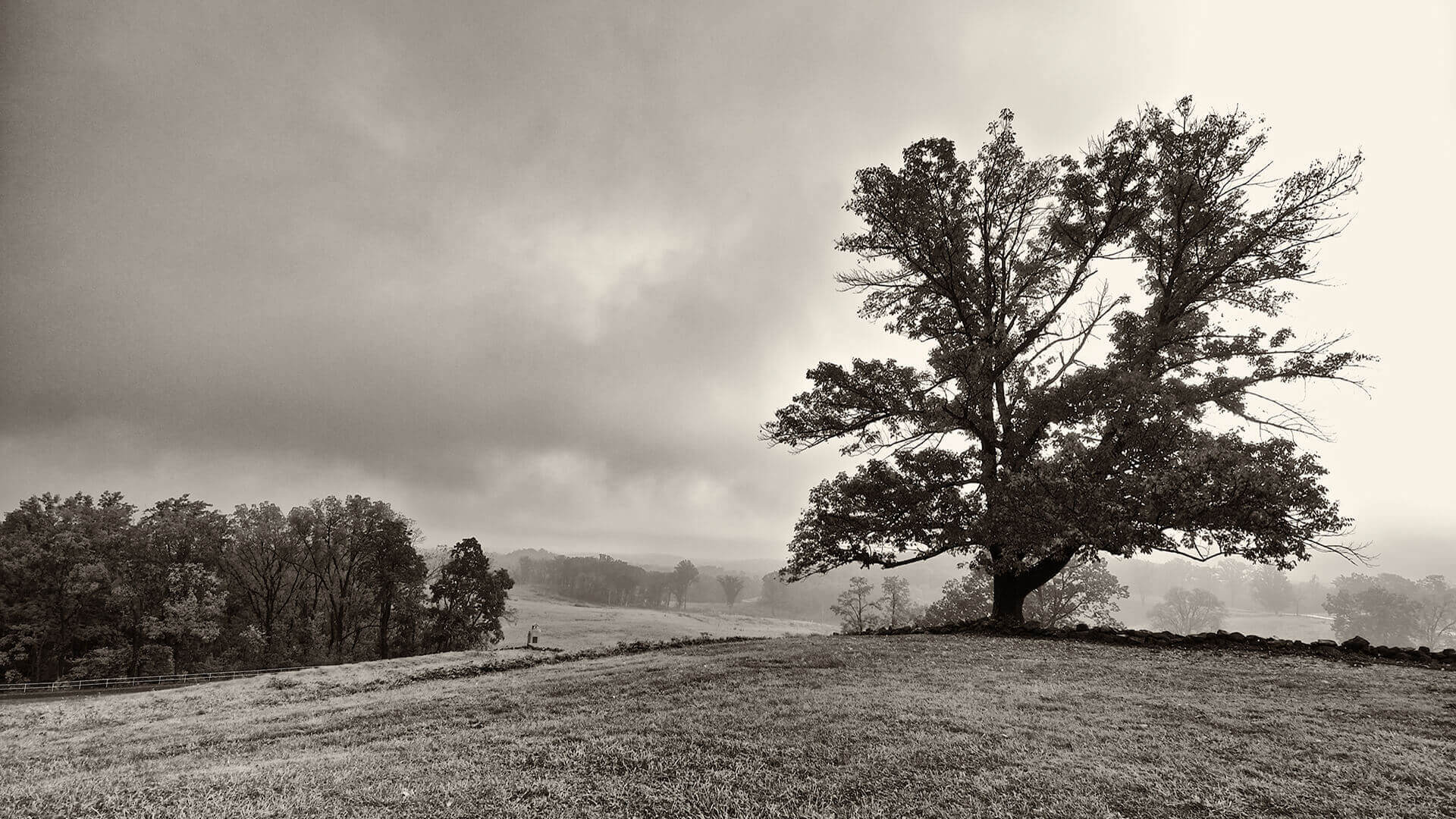 Picture of a haunted national park