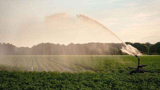 Irrigation with Recycled human urine or peecycling