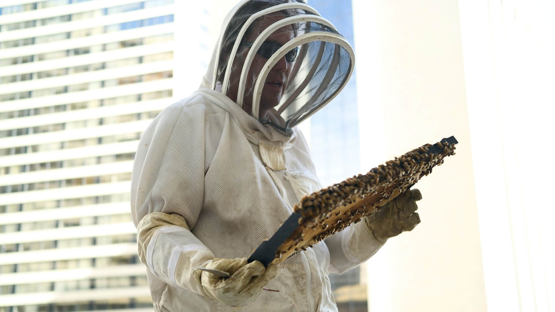 Hilton Salt Lake City Center, Beekeeper