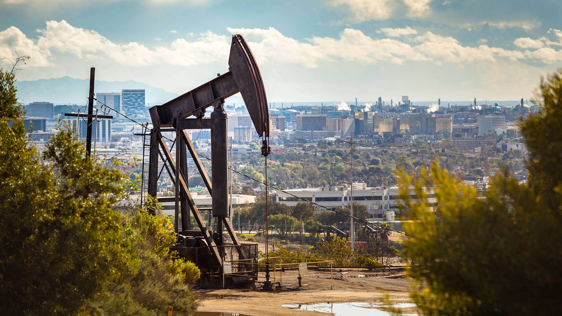 Is Oil Still Pumped In Los Angeles The City Is Banning All New Wells   LA20and20oil 