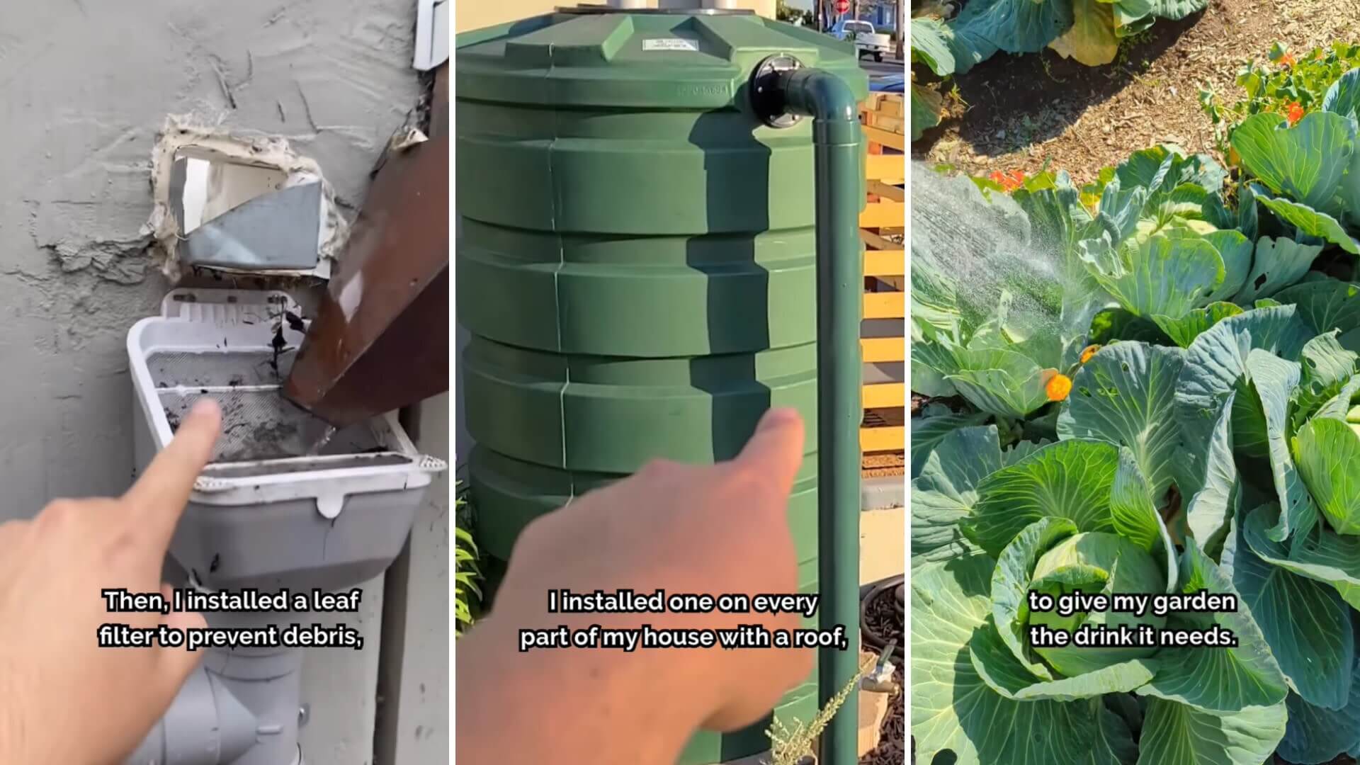 Gardener shares amazing hack for capturing rainwater on your roof: 'This should be the norm'