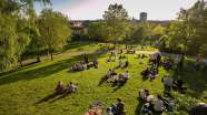 Bushes And Trees Can Reduce Air Pollution On Playgrounds By 50 