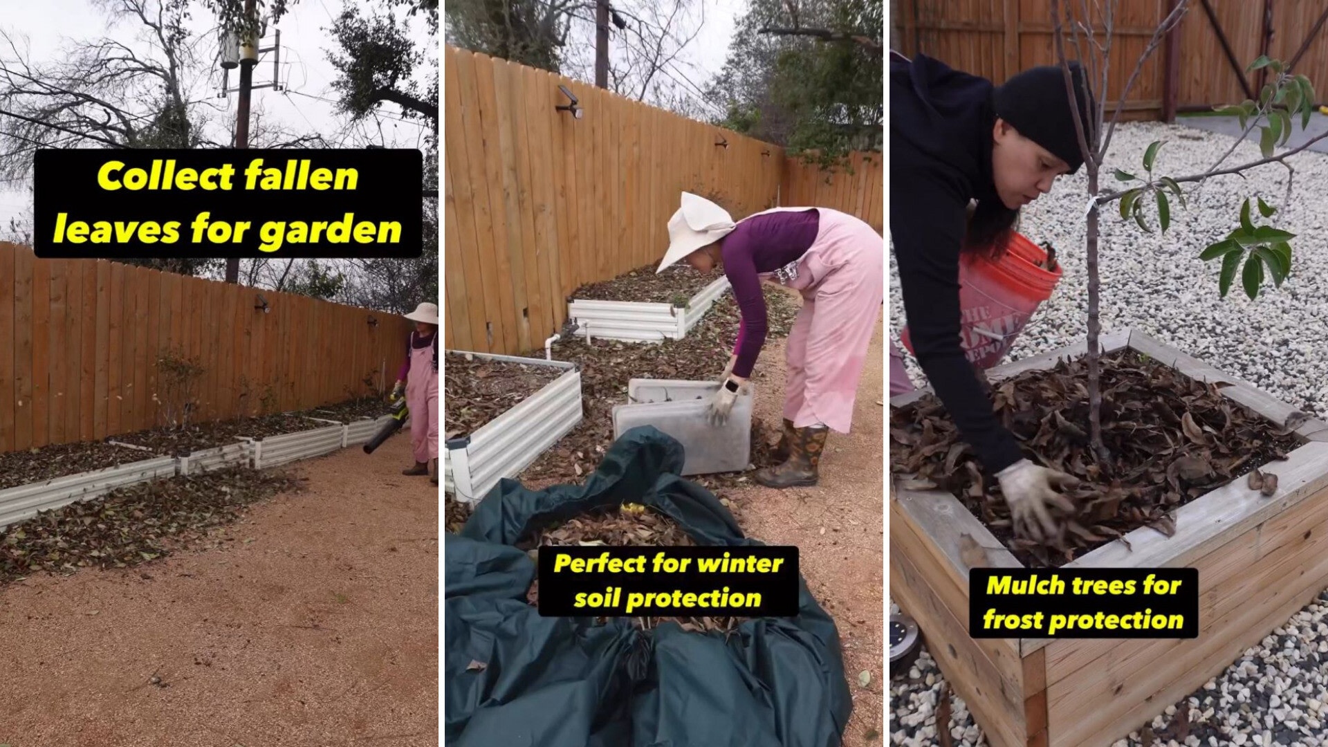 Gardener on Instagram shares how you can protect your garden during freezes: 'Free fertilizer and food for my earthworms'