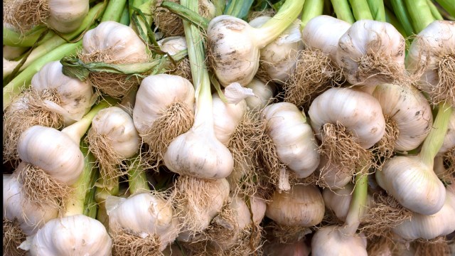 garlic wrapped individually in plastic