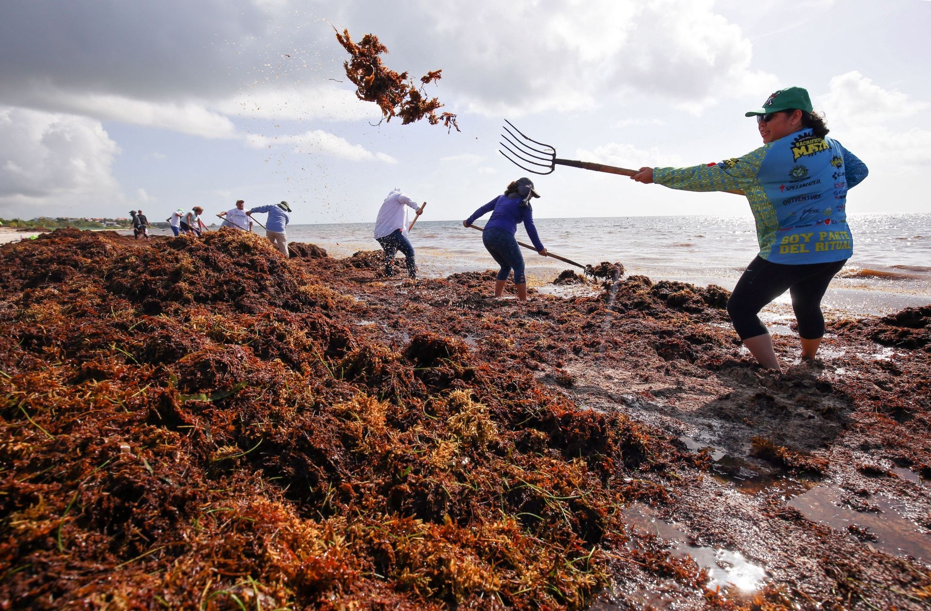 A 5,000pound blob of sargassum seaweed is heading for Florida