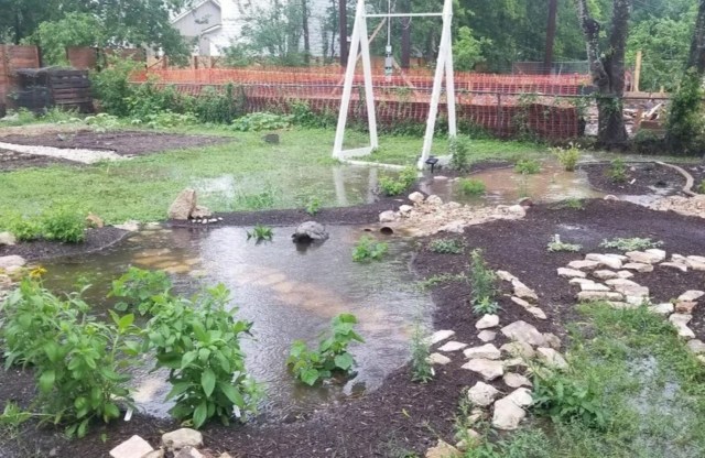 Rain garden