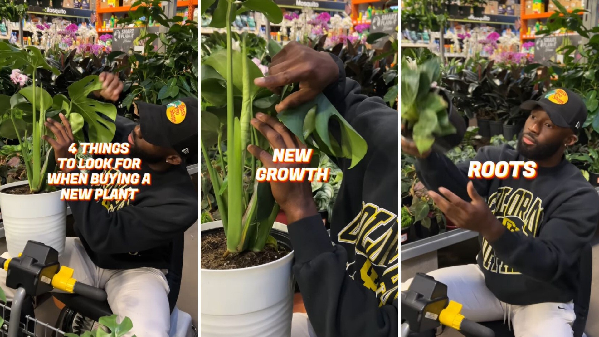 Plant Daddy Koss Choosing houseplants at local nursery