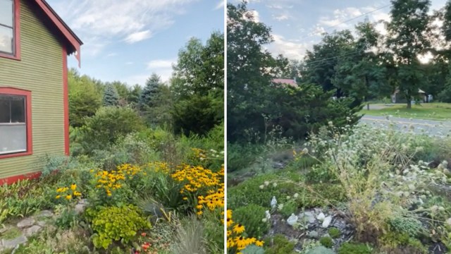 "I’d take these gardens over a green grass yard any day."