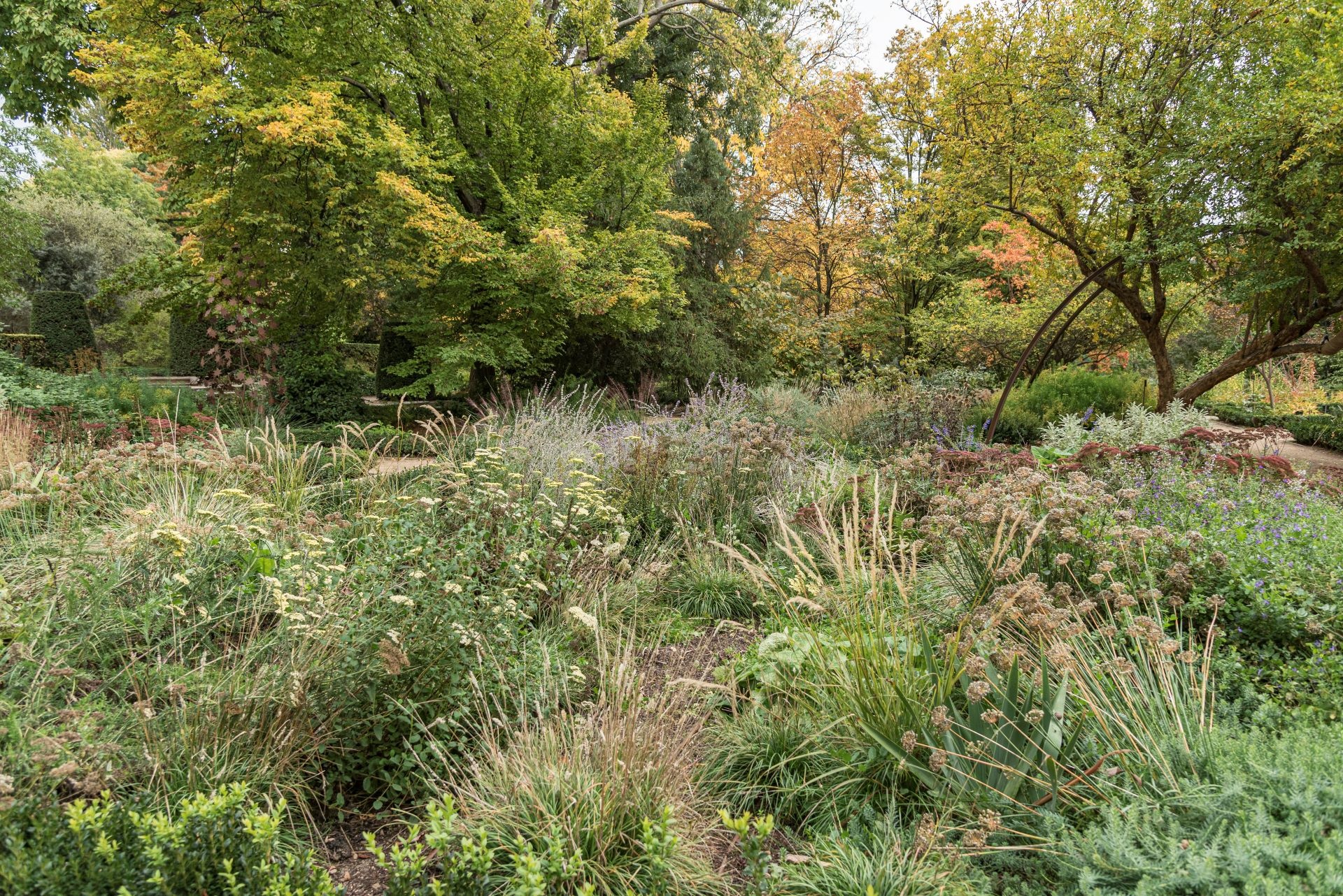 No Mow May, Overgrown lawn again