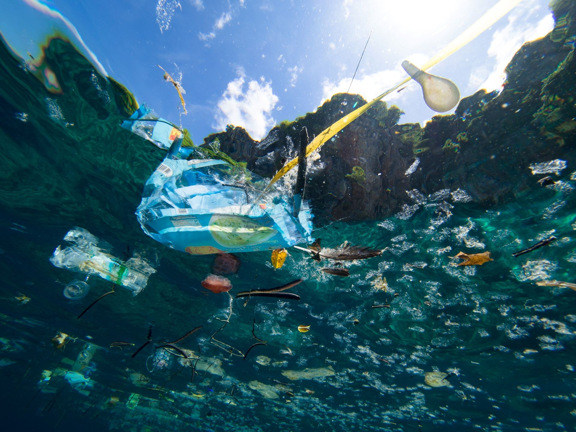 Researchers just discovered a game-changing method for cleaning up the trash in our oceans — here's how