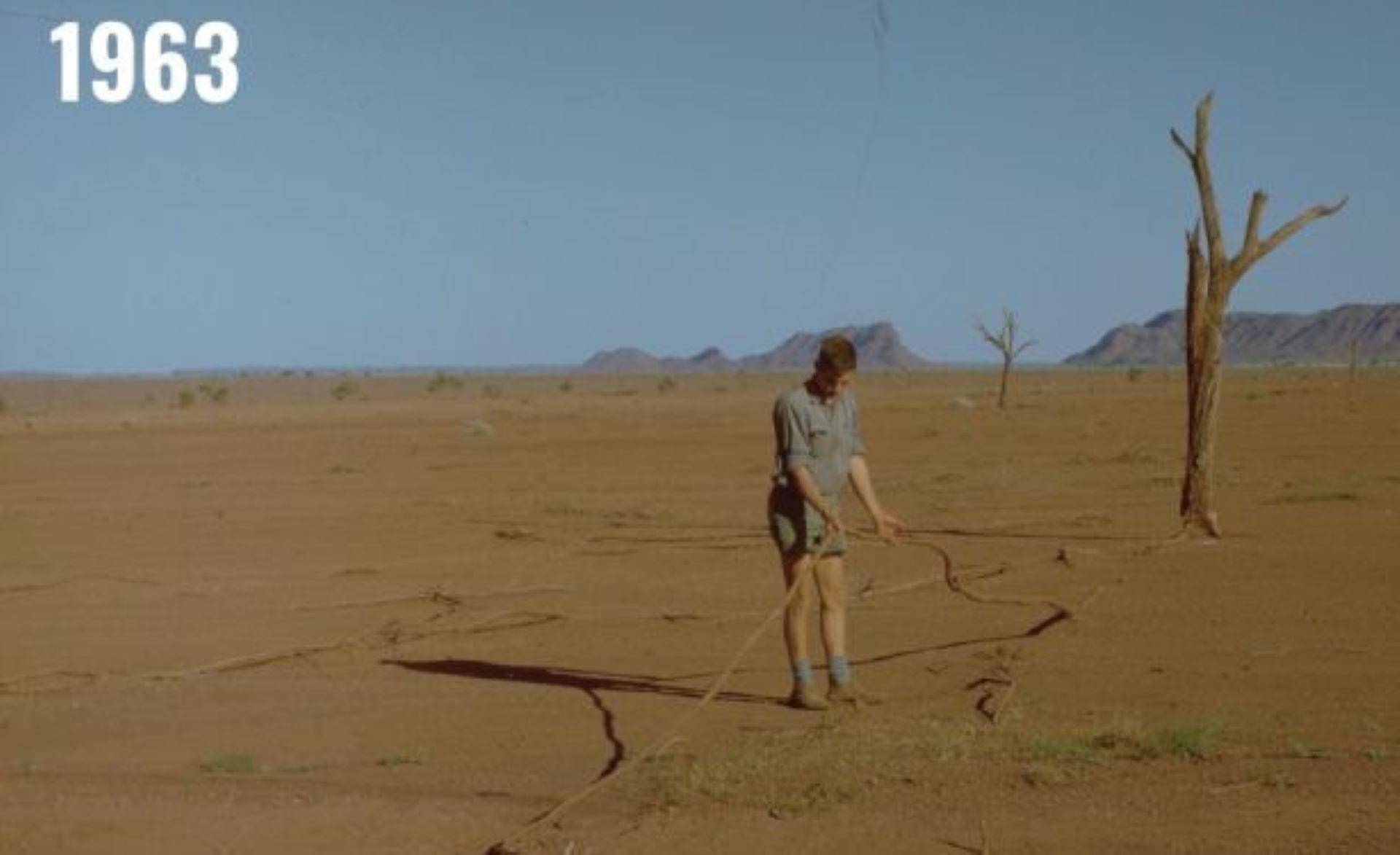 Ord River Regeneration Reserve