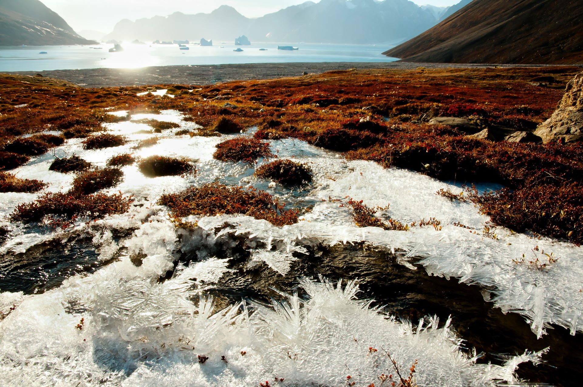 Toxic mercury leaking from permafrost