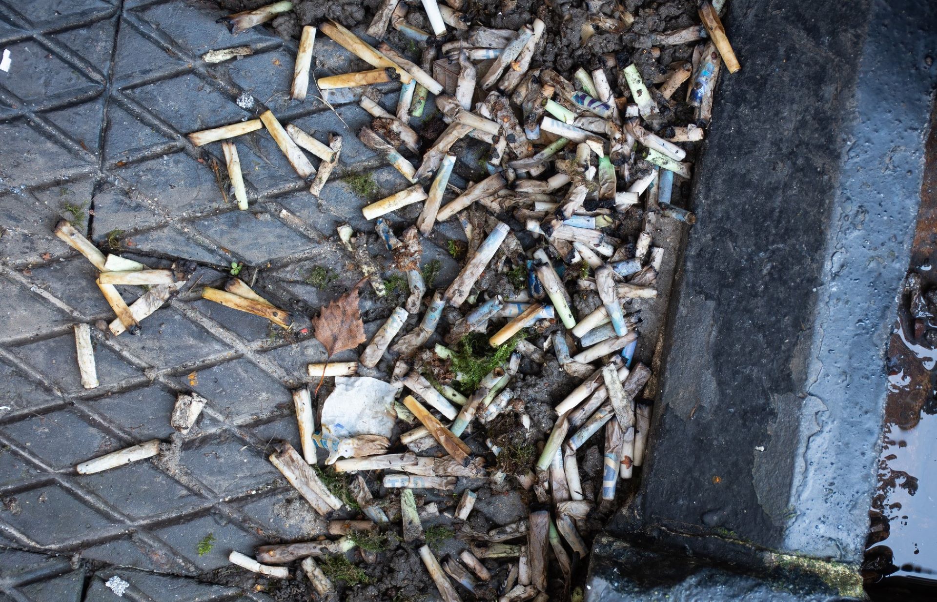 Cigarette butts are toxic plastic pollution. Should they be banned?