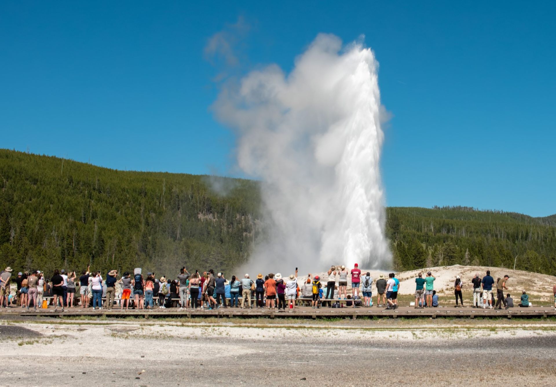 Tourons of yellowstone