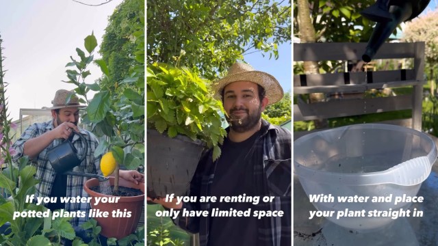 Watering potted plant