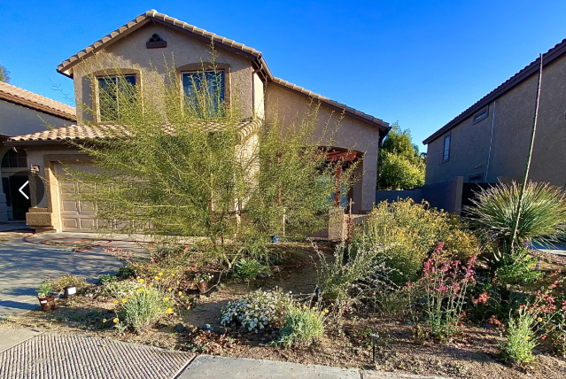 Homeowner transforms their lawn into a native plant yard