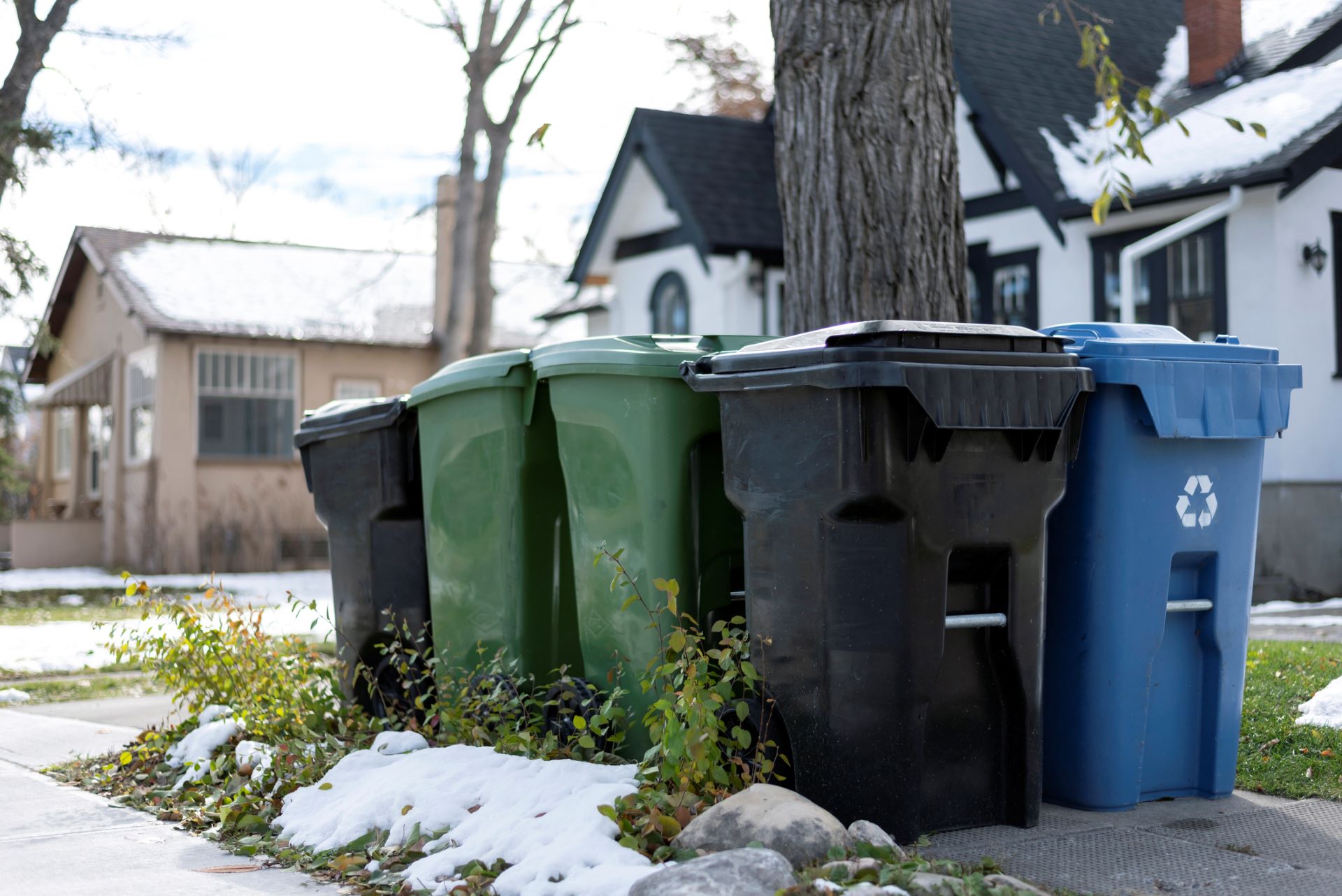 New York City, Food scraps