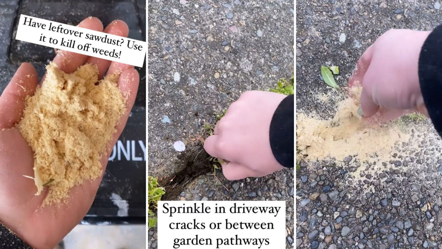 DIY expert reveals cheap sawdust hack