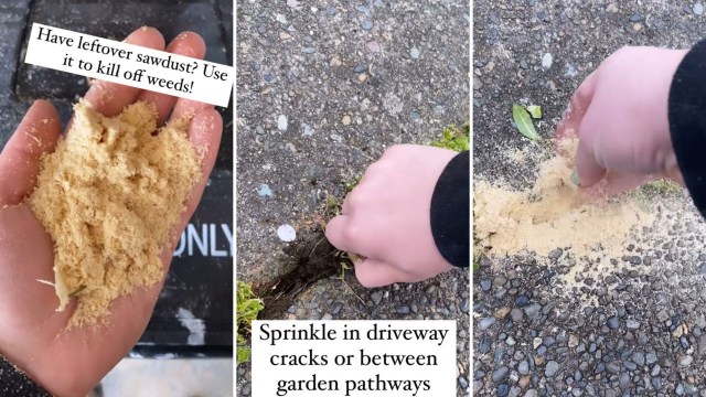 DIY expert reveals cheap sawdust hack