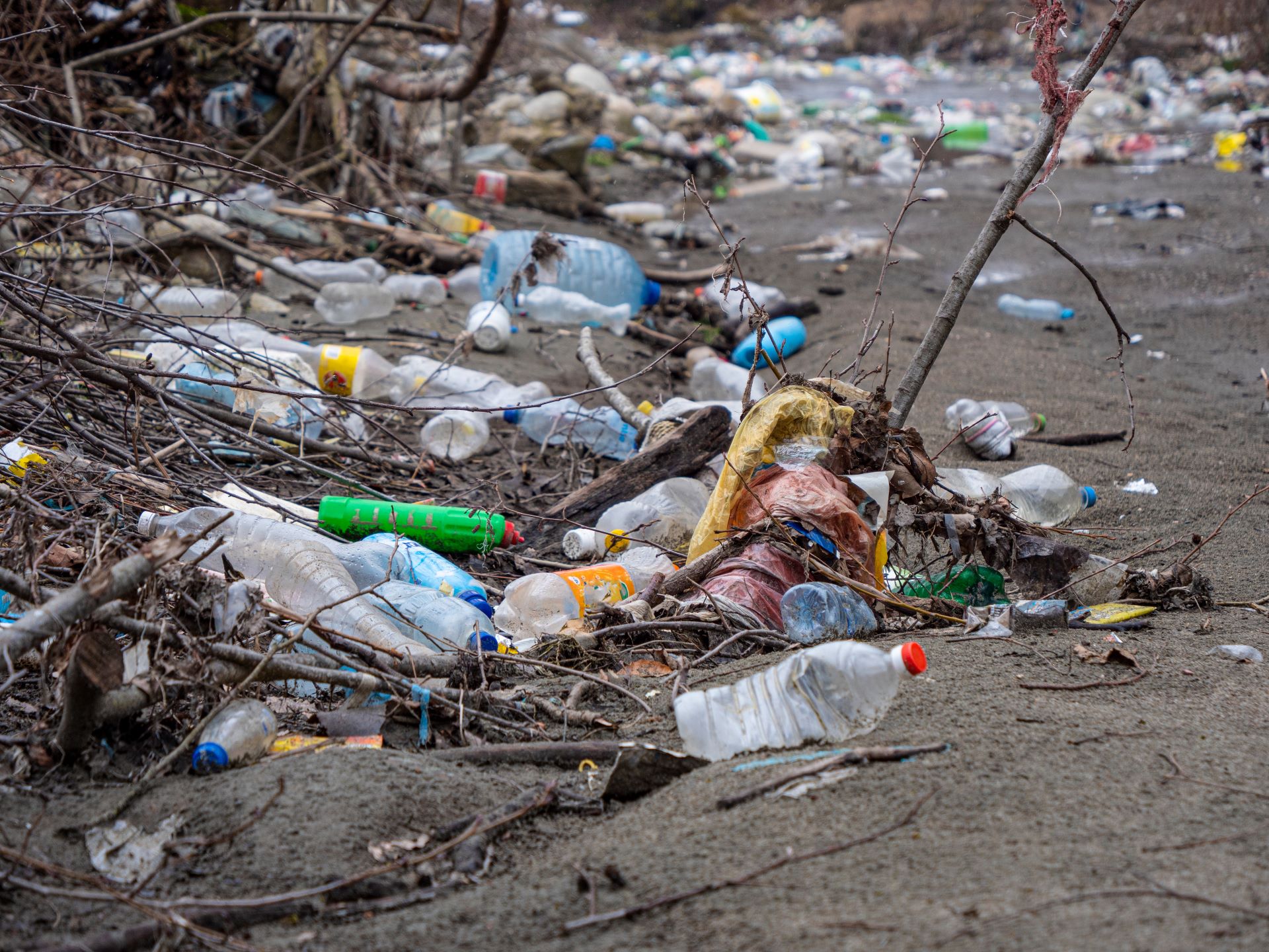 Study reveals unexpected health risk linked to a common type of litter: 'A large number of unnecessary disease cases'