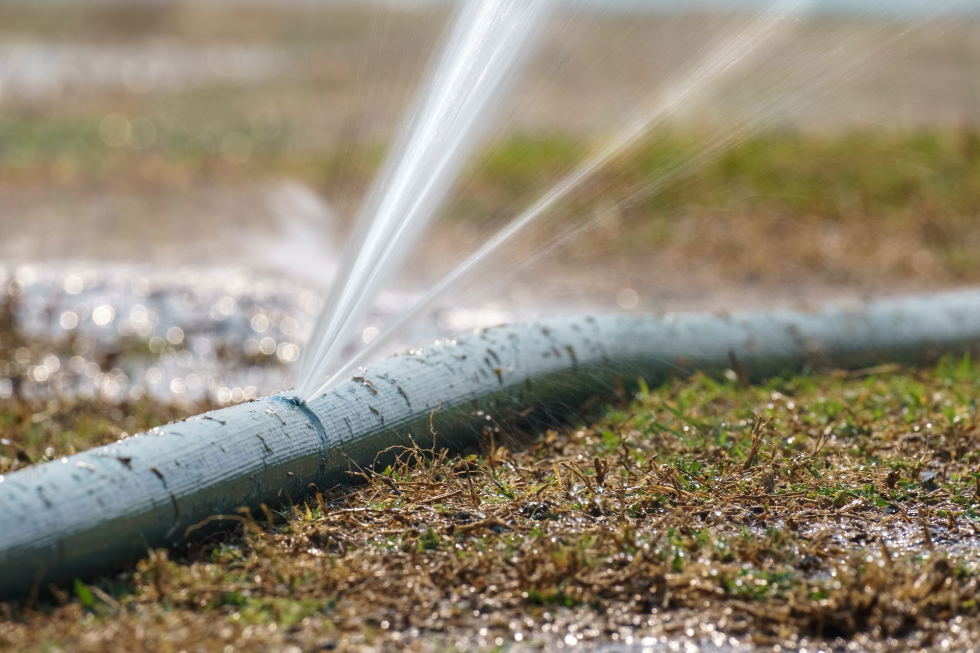 Wasteful leaking sprinkler