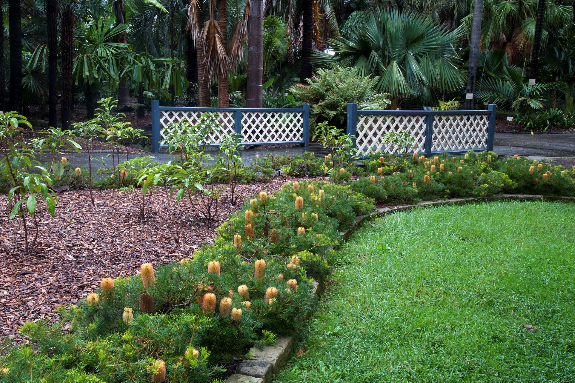 Native gardening in HOAs