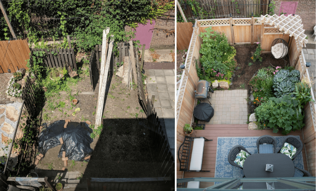 before-and-after photos show dramatic backyard transformation, NoLawns