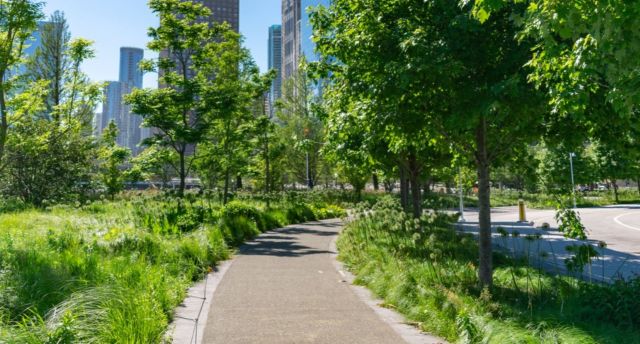 Chicago couple cleaning city