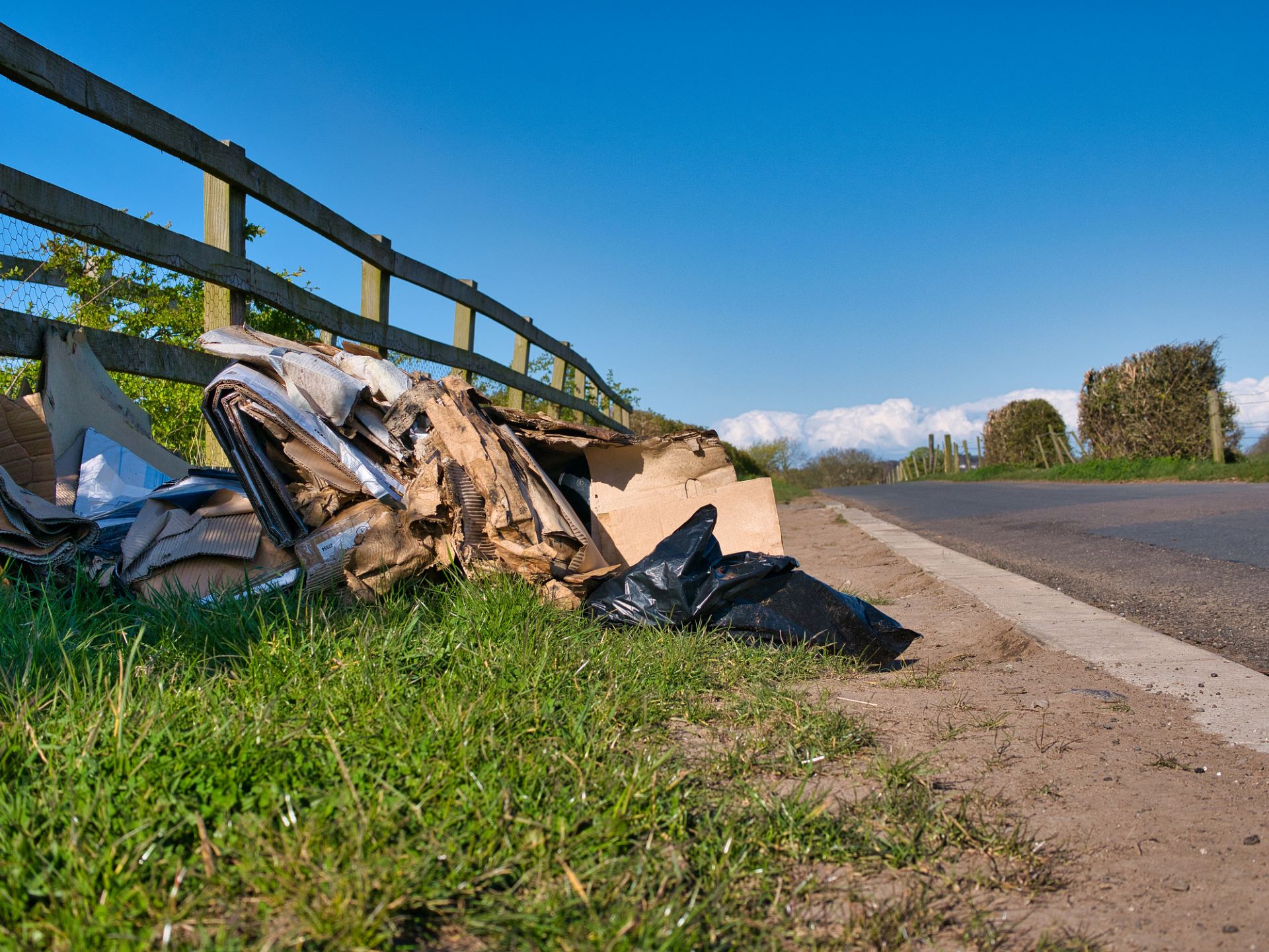 litter cleanup in the United States