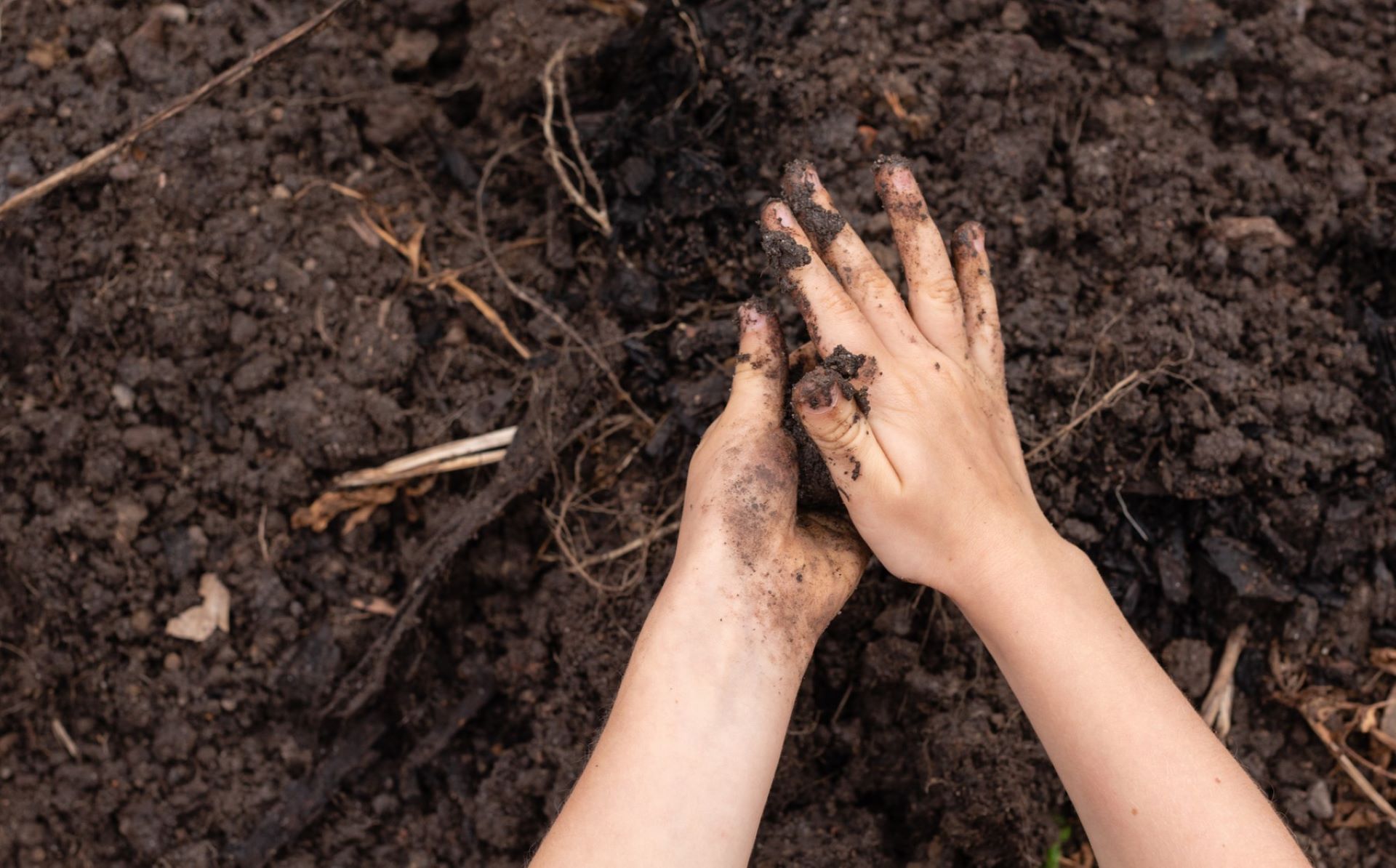 Jumping worms, Jump over a foot high have infiltrated the U.S.