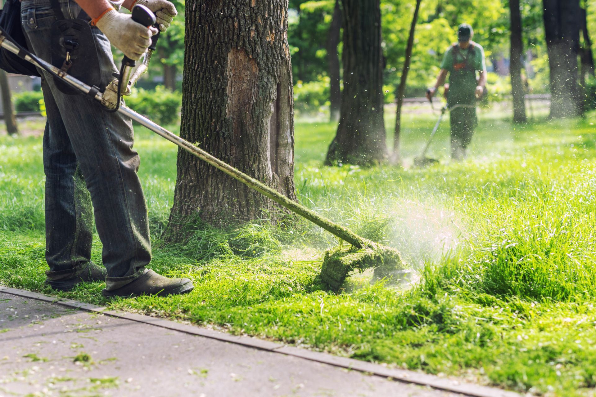 Texas HOA destroys elderly man’s bluebonnets