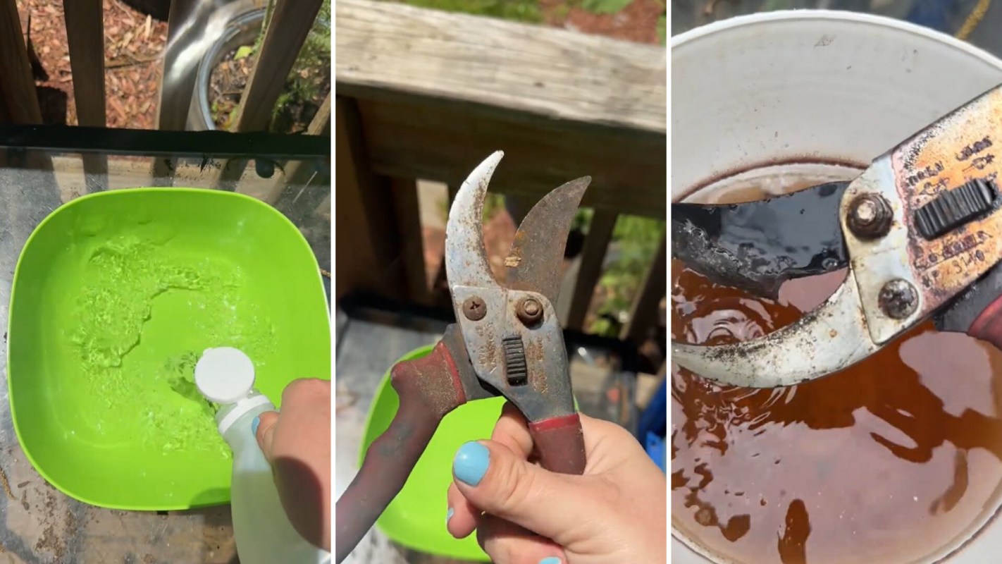 White vinegar, hack to remove rust from tools