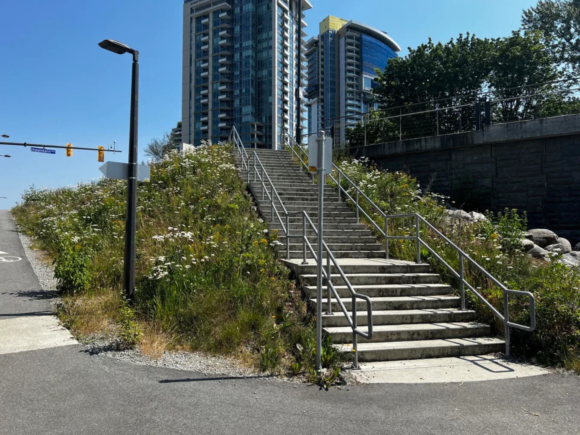 Livens city with native wildflowers