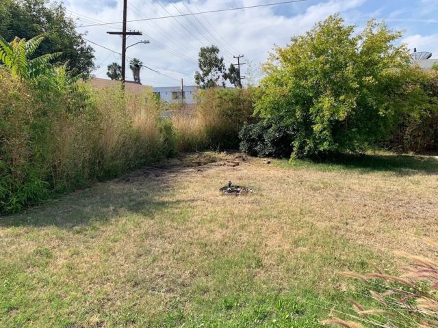 Drought-resistant, Before-and-after photos of their unreal lawn transformation