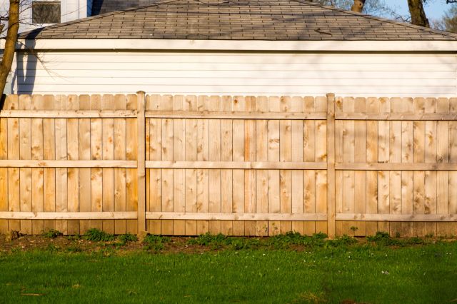 "My neighbors laughed in year one."