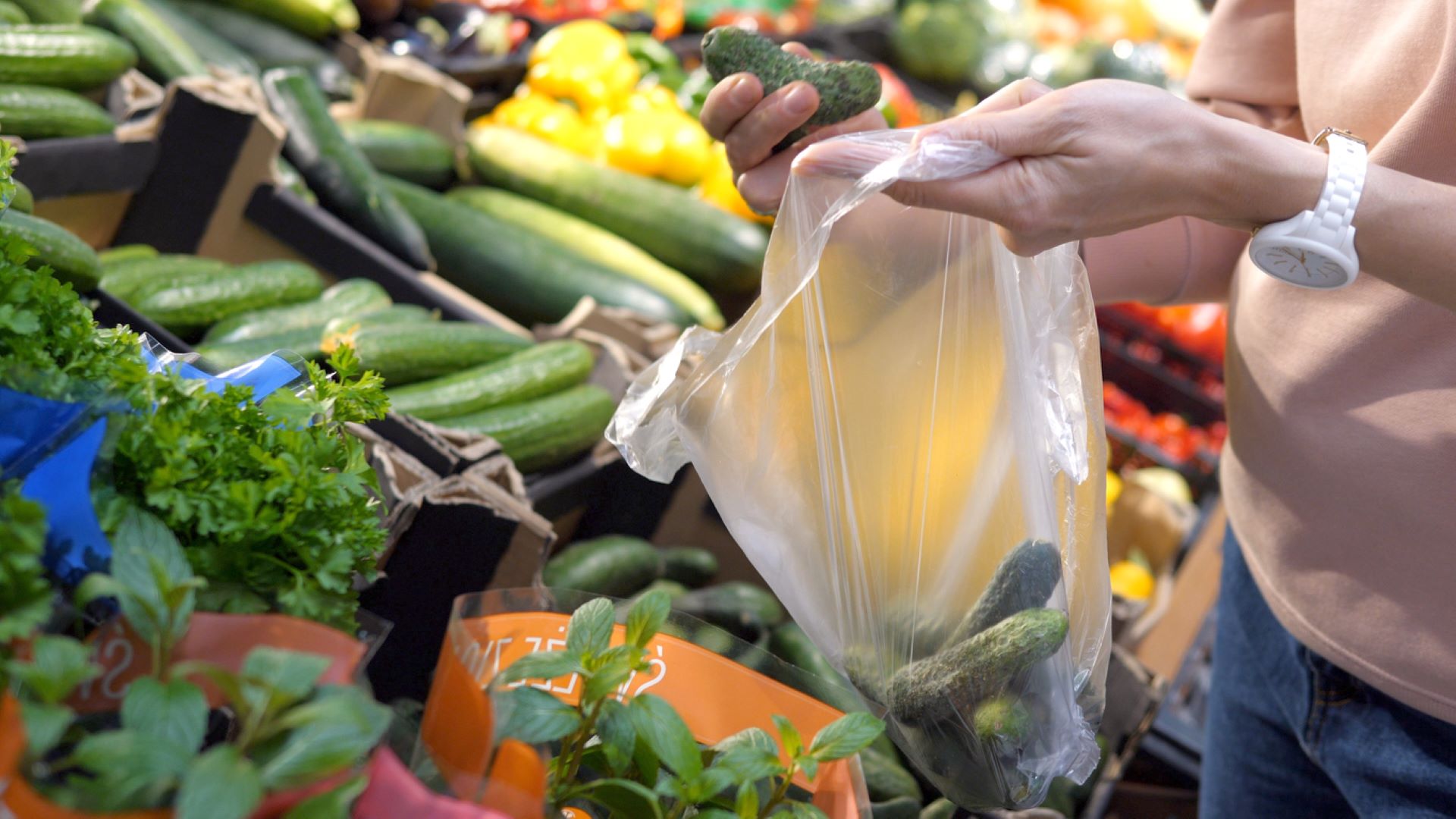 Government announces first-of-its-kind ban on plastic grocery bags:  '[That's] 17,000 plastic bags every hour