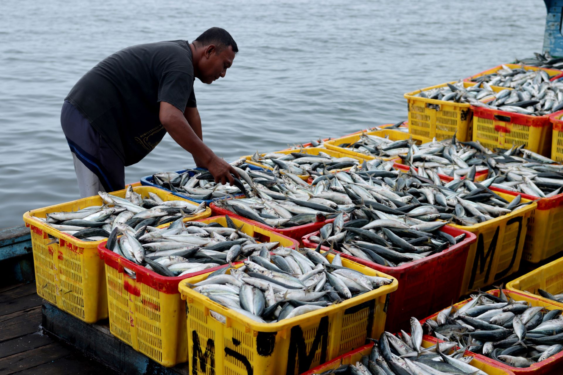 Aquaculture, 90% of ‘blue’ food production is at risk