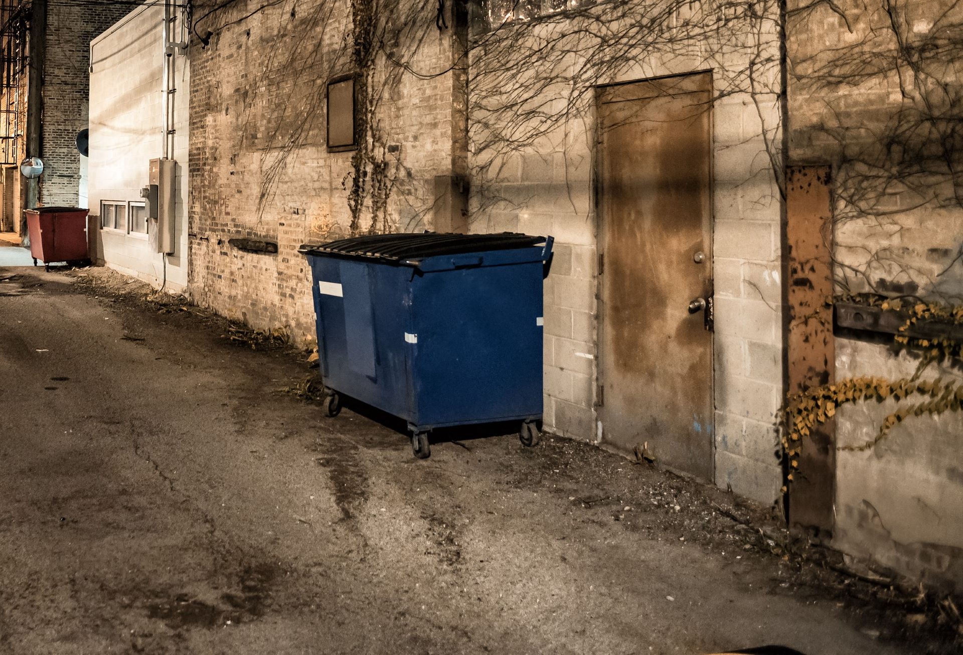 Dog food, Animal rescuer baffled by what they discovered in a dumpster