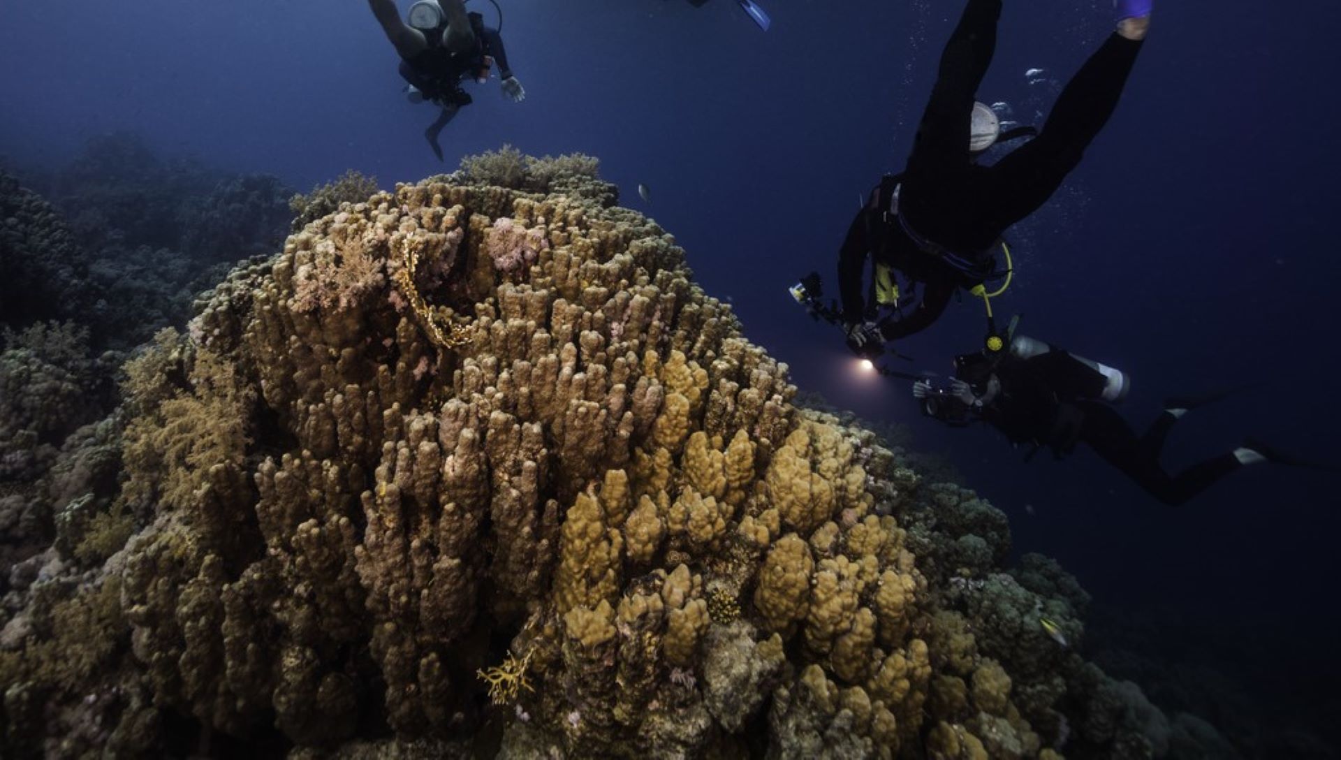 Spermonde Archipelago