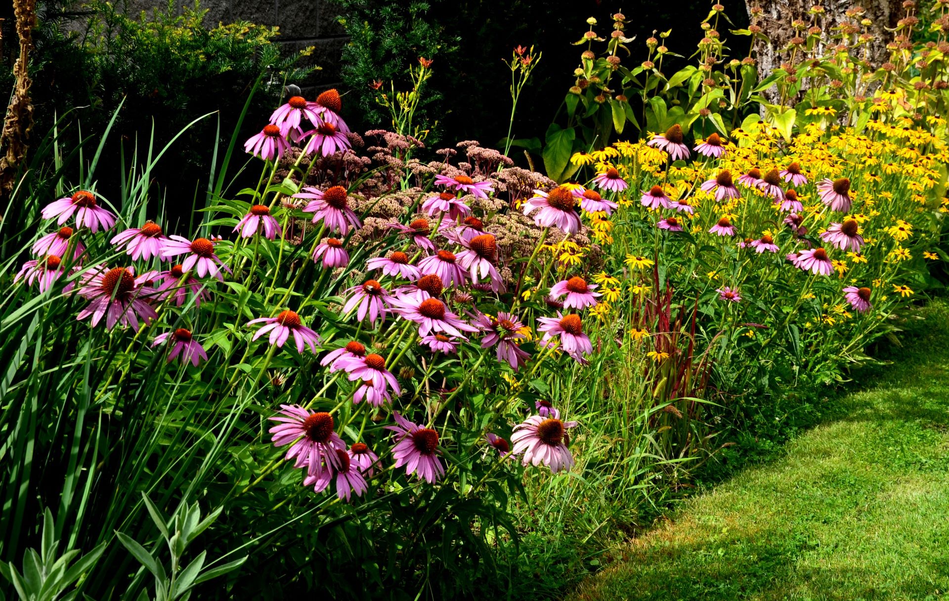 Unlike shredded bark or wood, native mulch can regenerate itself naturally.