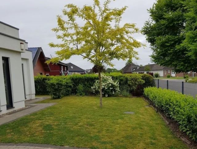 Boring lawn into a colorful garden