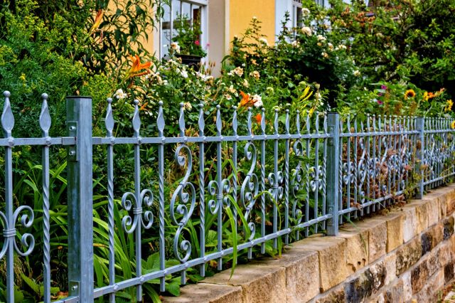 Decades-old “no lawn”: A garden filled with diverse plants and trees