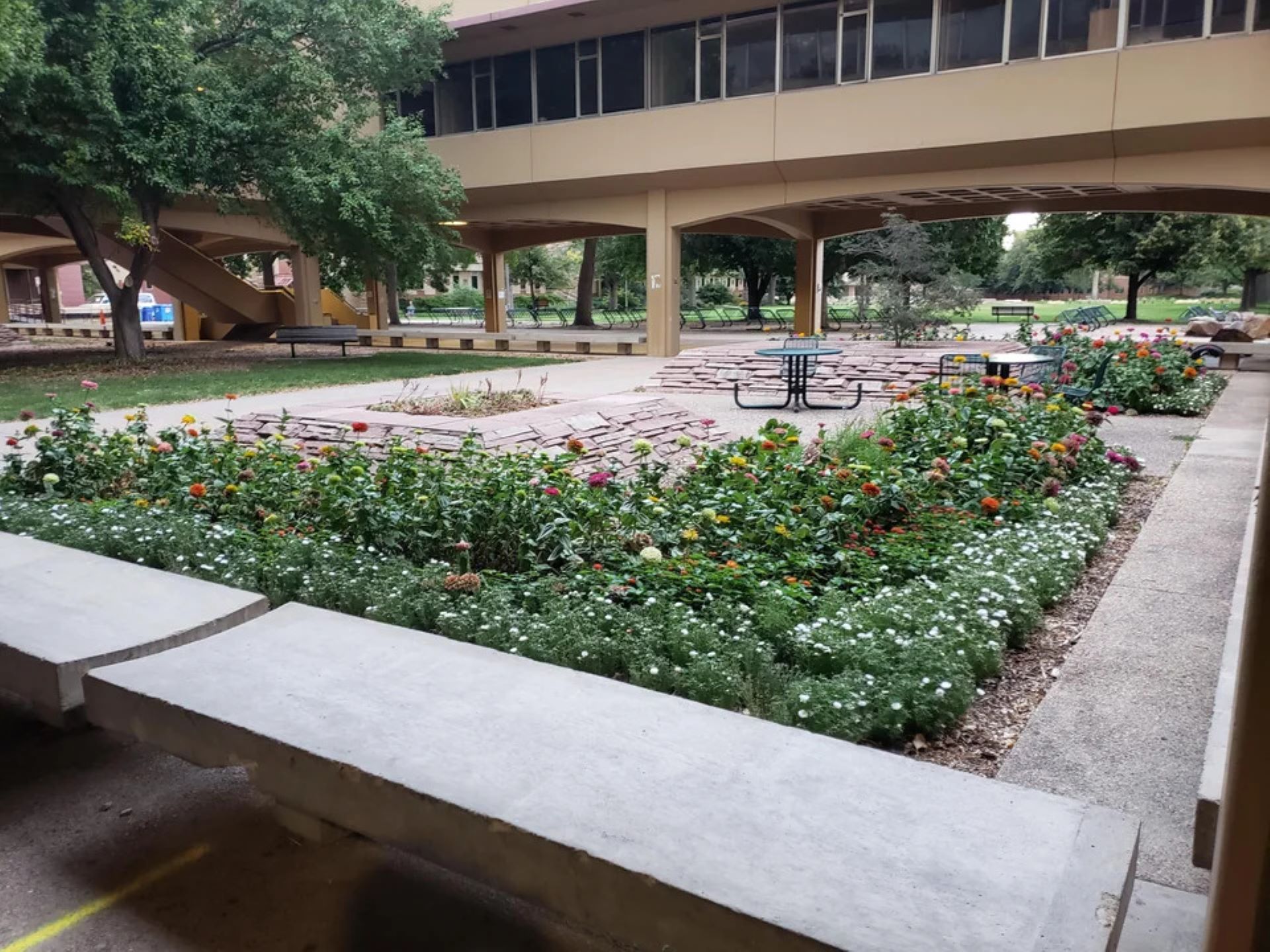 Pollinator-friendly plants, School's unique landscaping transformation