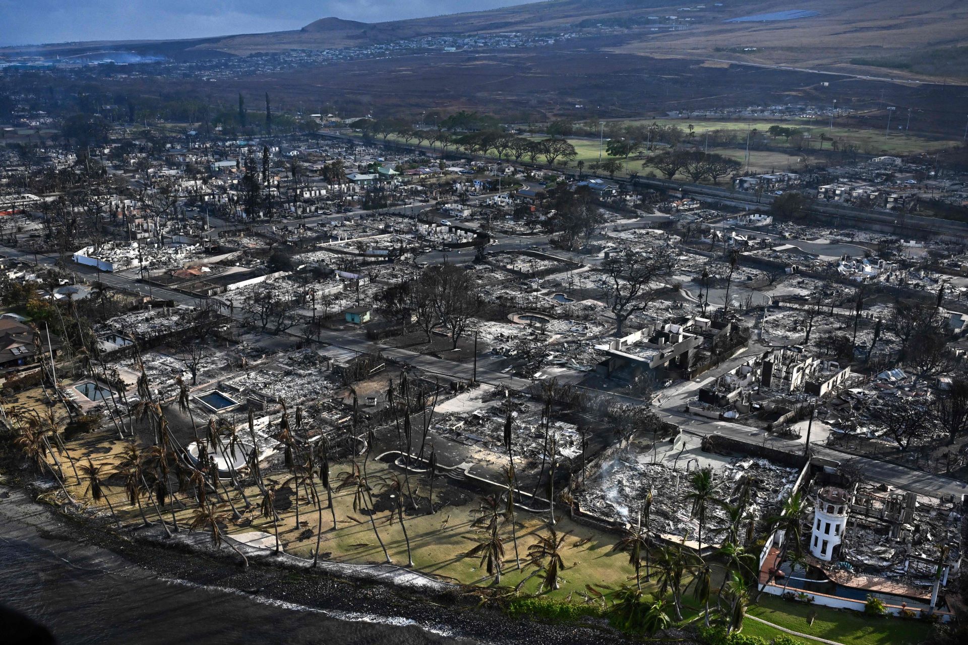 Maui wildfires