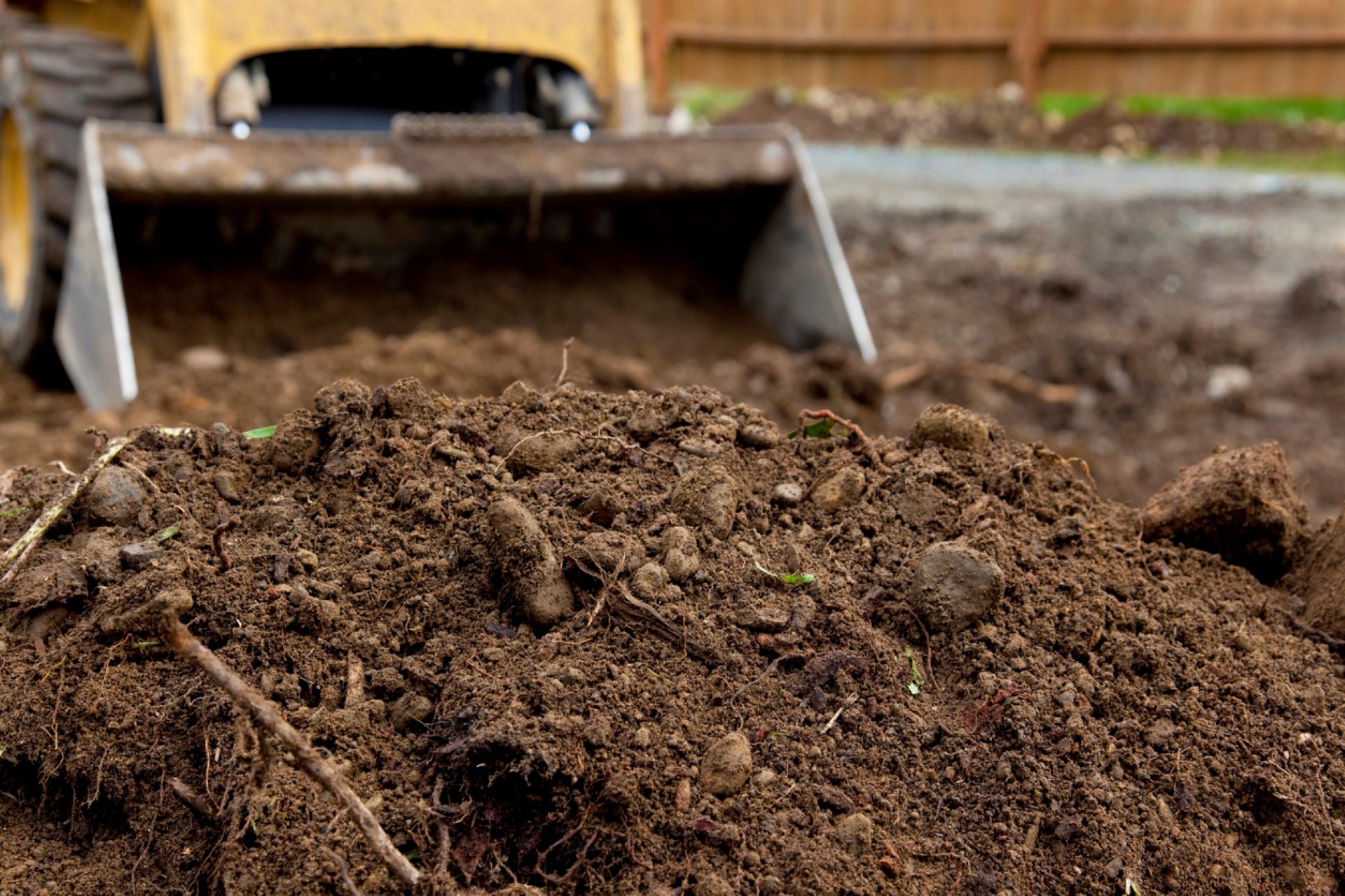 Damage and highlighted the importance of plant life to prevent floods