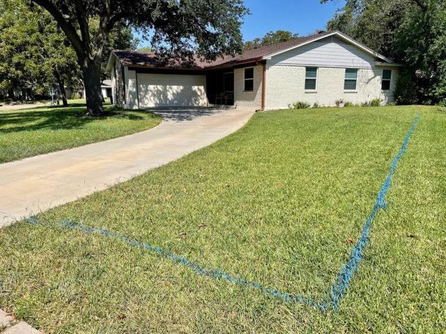 Earth-friendly lawn, before photos 2 years after ripping out their lawn