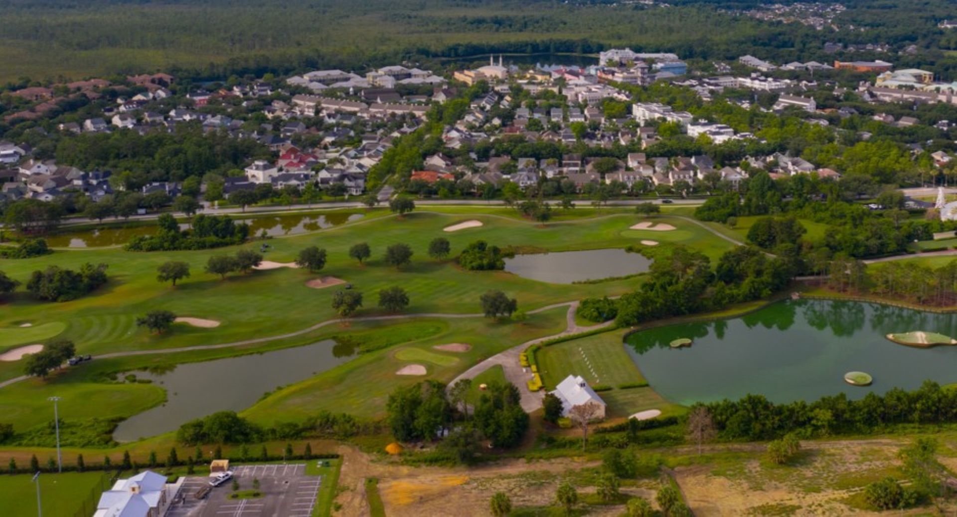 Excess algae in the lake