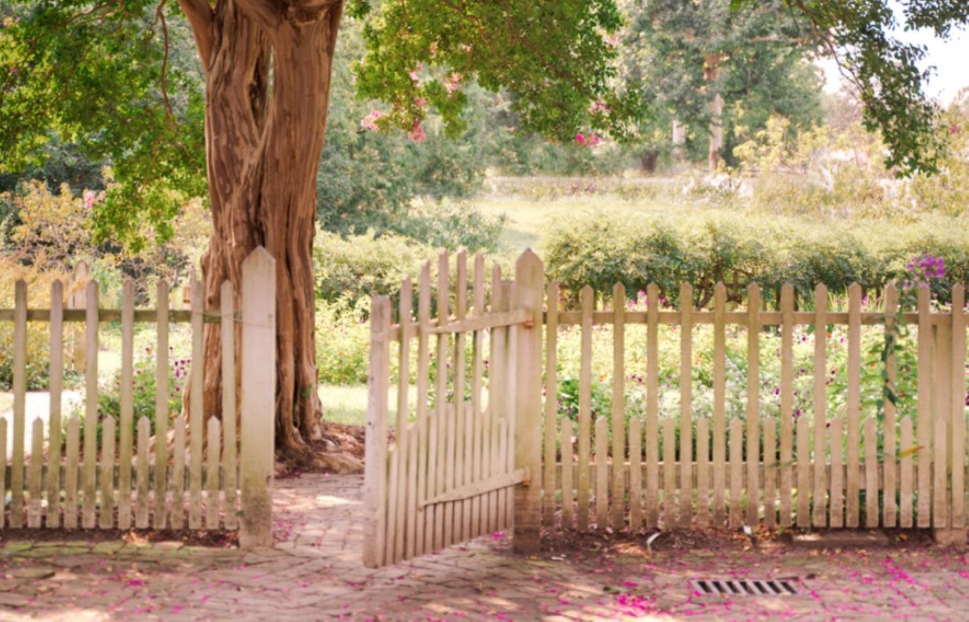 Lawn care, Gardener shares surreal photo of their backyard