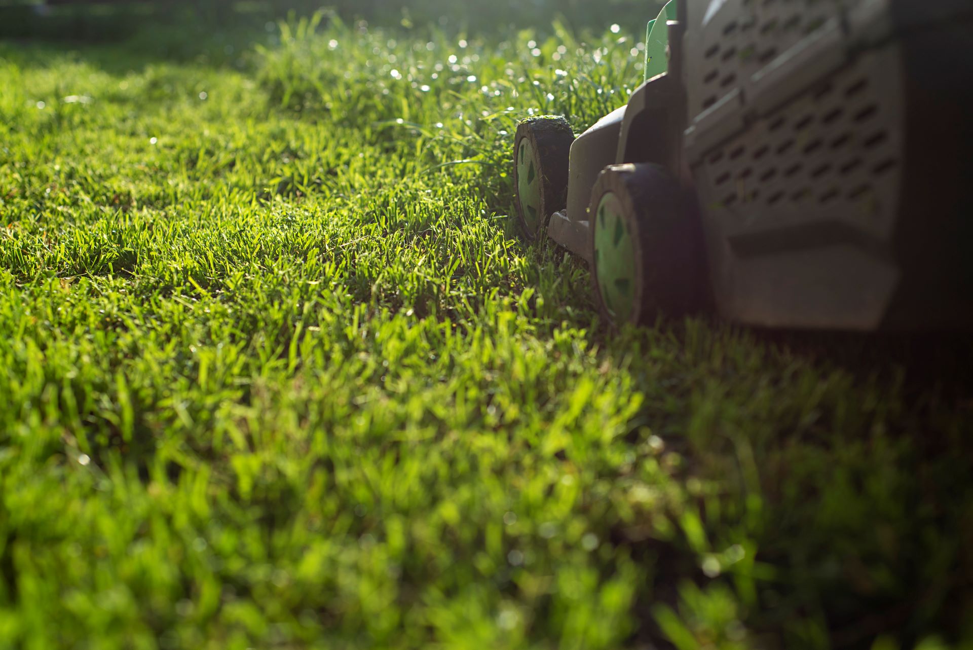 Ongoing battle with HOA over weed-killer