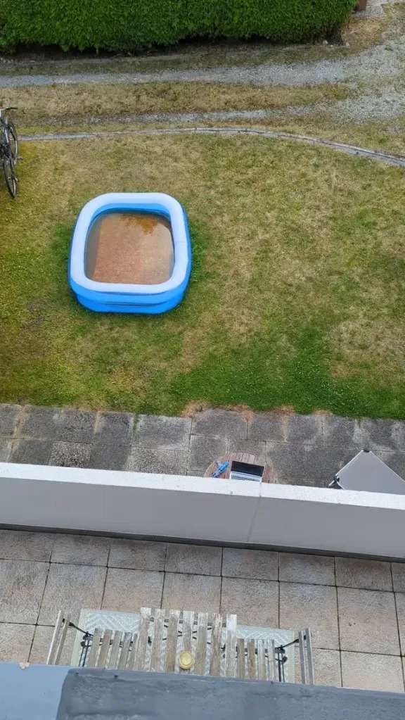 Mosquito infested kiddie pool
